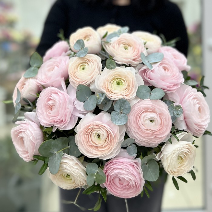 19 пышных розовых и белых Ранункулюсов в коробке