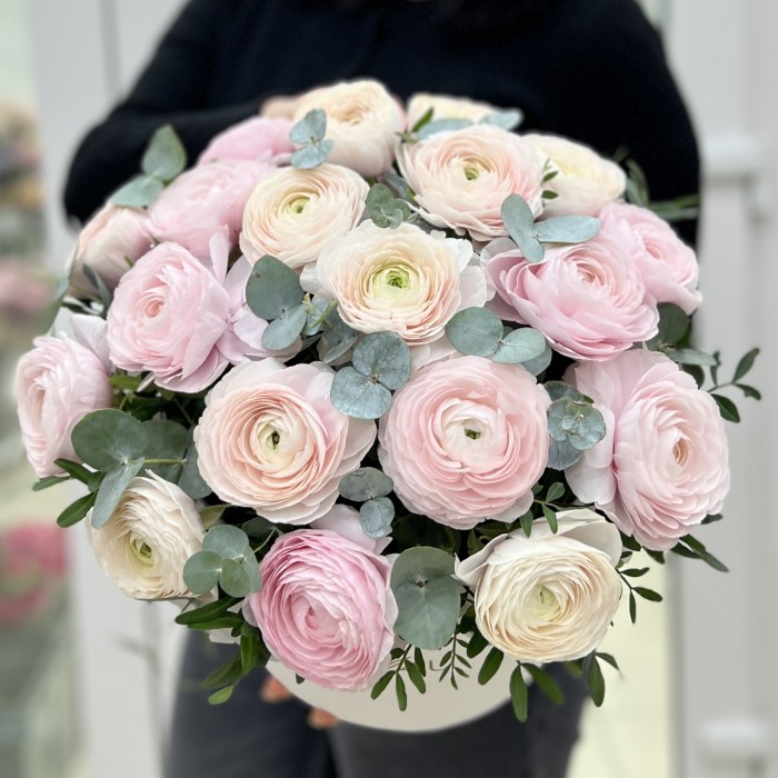 19 пышных розовых и белых Ранункулюсов в коробке