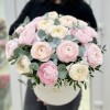 19 пышных розовых и белых Ранункулюсов в коробке