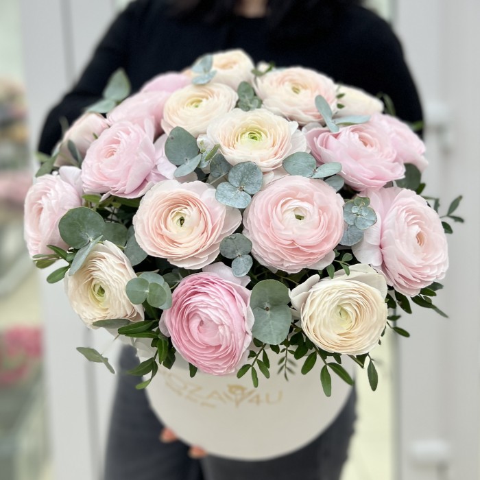 19 пышных розовых и белых Ранункулюсов в коробке