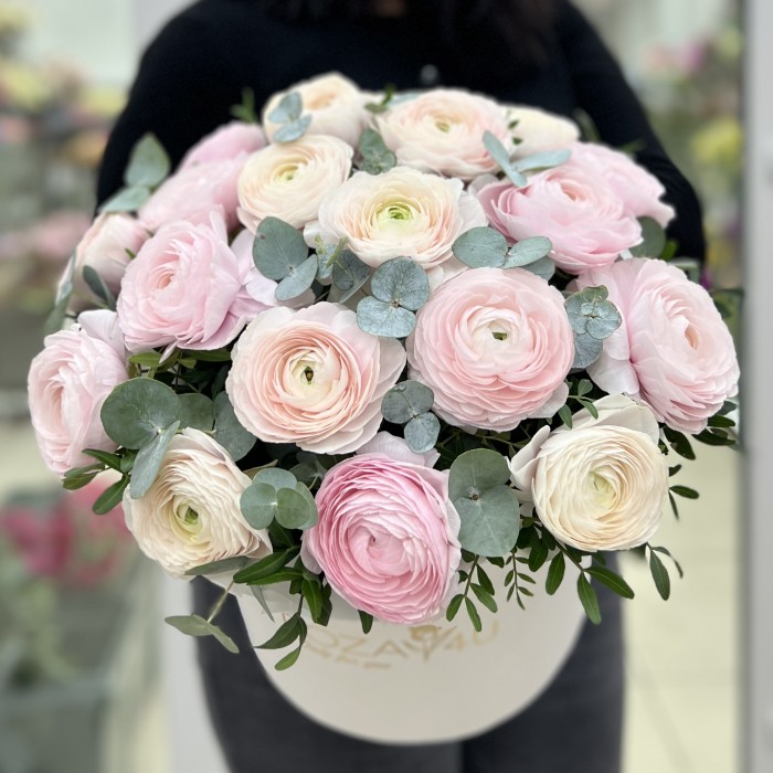 19 пышных розовых и белых Ранункулюсов в коробке