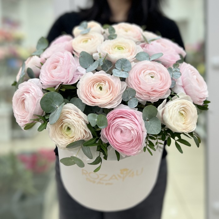 19 пышных розовых и белых Ранункулюсов в коробке