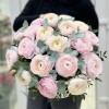 19 пышных розовых и белых Ранункулюсов в коробке