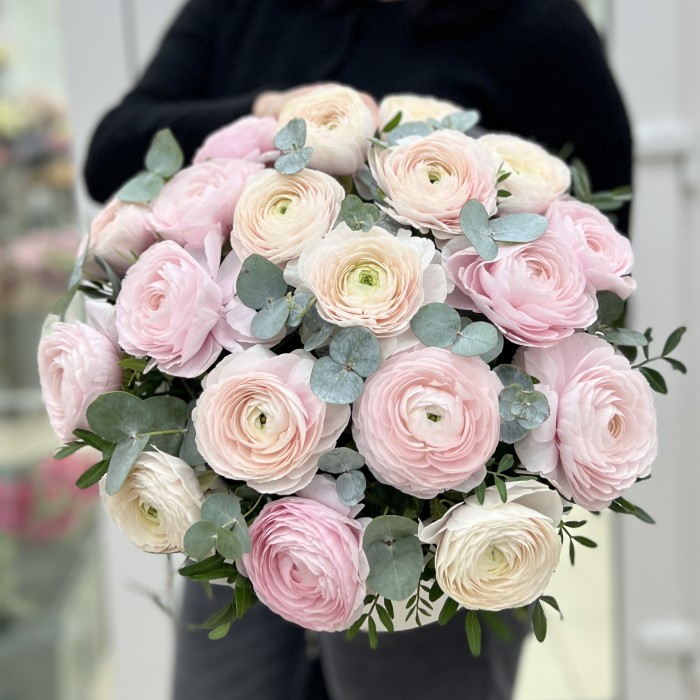 19 пышных розовых и белых Ранункулюсов в коробке