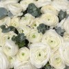 51 пышный белый ранункулюс с эвкалиптом