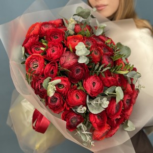 51 пышный красный ранункулюс с эвкалиптом