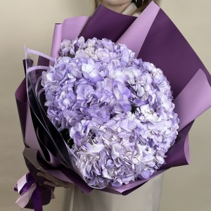 9 лавандовых гортензий