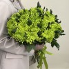 19 зеленых хризантем