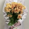5 коричнево-красных кустовых хризантем Априкот