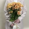 5 коричнево-красных кустовых хризантем Априкот