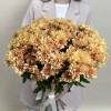 Хризантема кустовая коричнево-красная Априкот