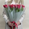 Корпоративный сет №4 из тюльпанов