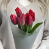 Корпоративный сет №4 из тюльпанов