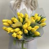 Корпоративный сет №7 из тюльпанов