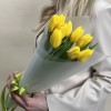Корпоративный сет №5 из тюльпанов