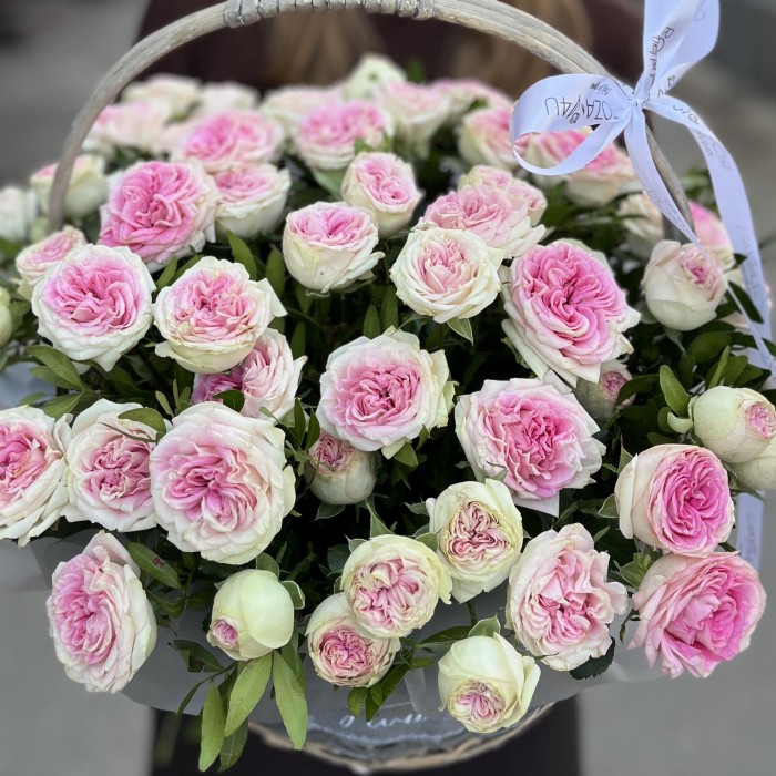 15 кустовых пионовидных роз Джелатто в корзине