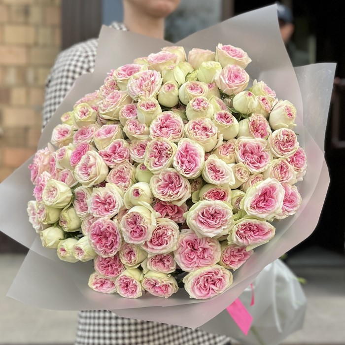 25 кустовых пионовидных роз Джелатто 50 см