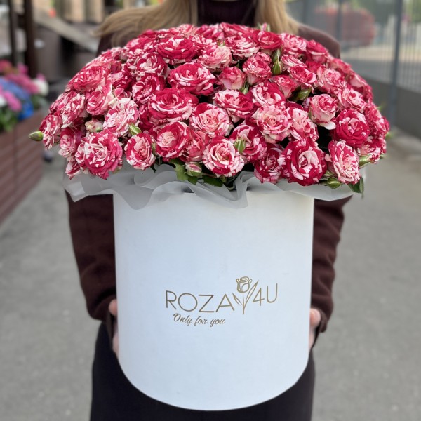 25 кустовых роз Файрворкс в коробке