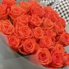 25 оранжевых роз Вау 60 см