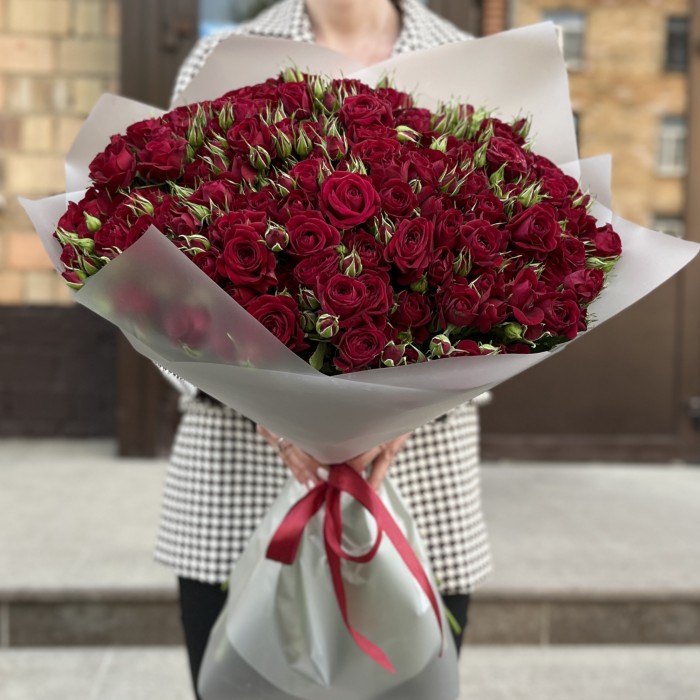 51 Кустовая красная Роза Рубикон 60 см