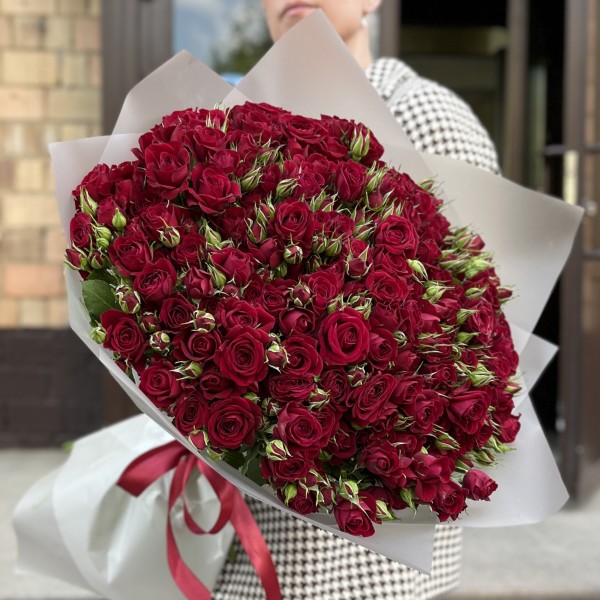 51 Кустовая красная Роза Рубикон 60 см