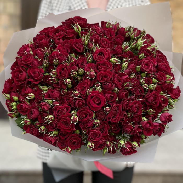 51 Кустовая красная Роза Рубикон 60 см