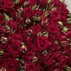 51 Кустовая красная Роза Рубикон 60 см