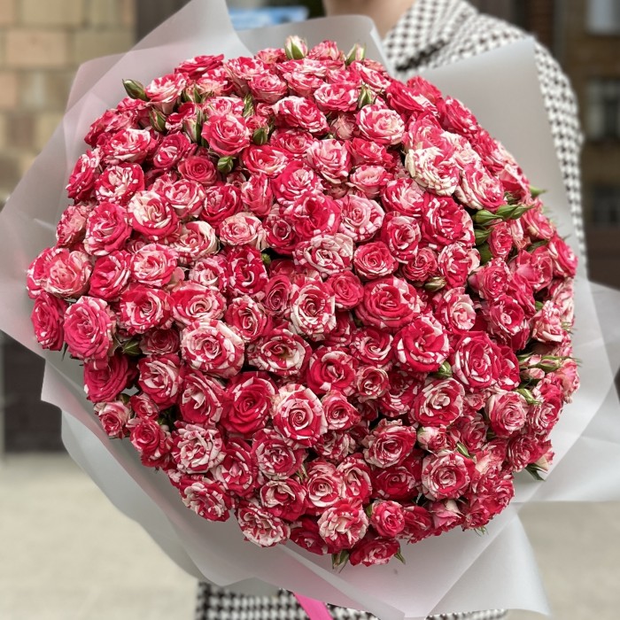 51 кустовая Роза Файрворкс 40 см