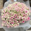 51 кустовая пионовидная Роза Джелатто 50 см