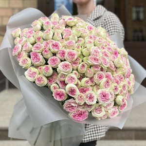 51 кустовая пионовидная Роза Джелатто 50 см