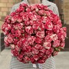 Кустовая Роза Файрворкс 40 см