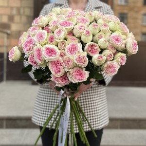 Кустовая пионовидная Роза Джелатто 50 см