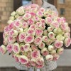 Кустовая пионовидная Роза Джелатто 50 см