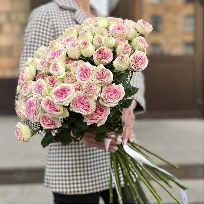 Кустовая пионовидная Роза Джелатто 50 см