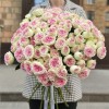 Кустовая пионовидная Роза Джелатто 50 см