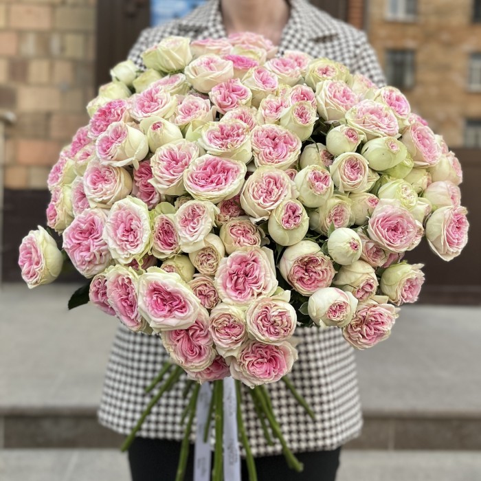 Кустовая пионовидная Роза Джелатто 50 см