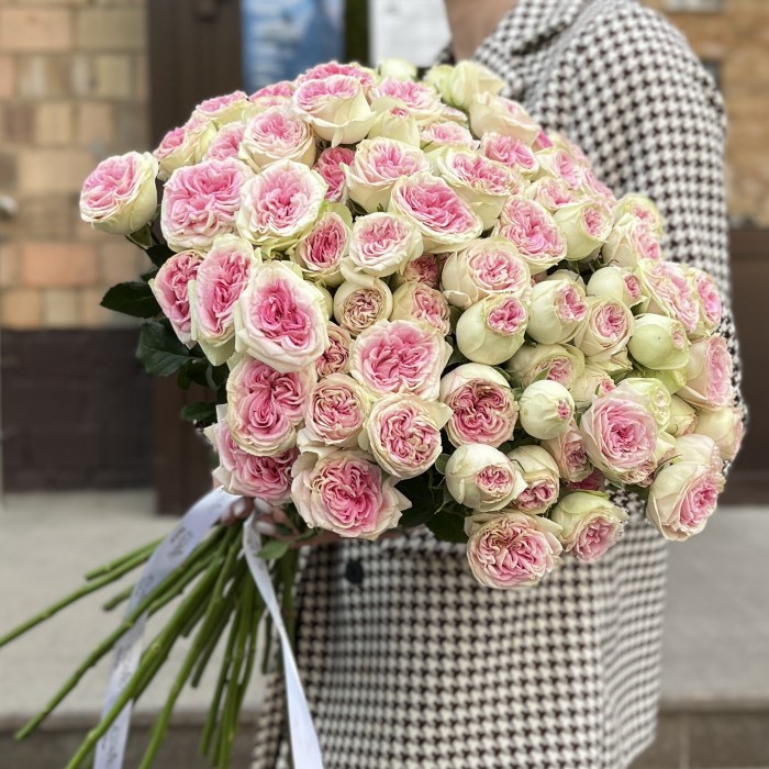 Кустовая пионовидная Роза Джелатто 50 см