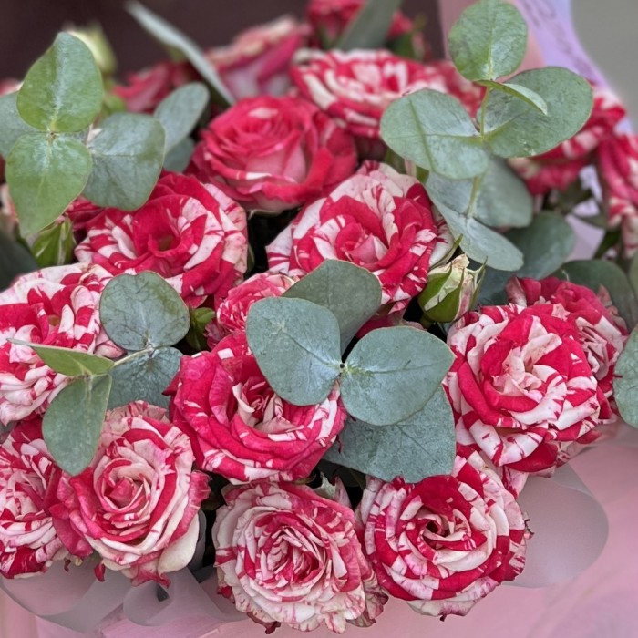 Кустовые розы Файрворкс в розовом ящике