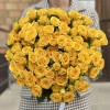 Желтая кустовая Роза Еллоу бейби 40 см