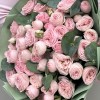 11 розовых кустовых пионовидных роз Свит Жизель 40 см