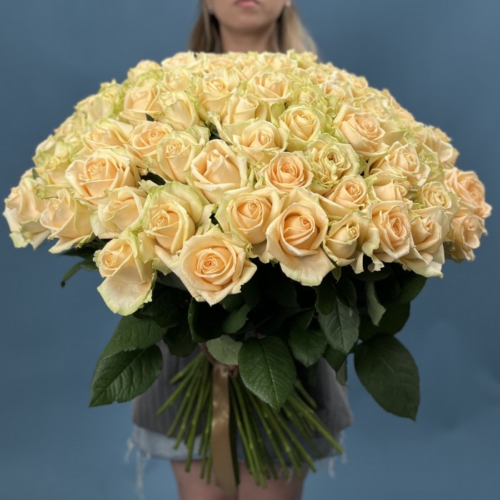 101 Роза пич Аваланш 60 см