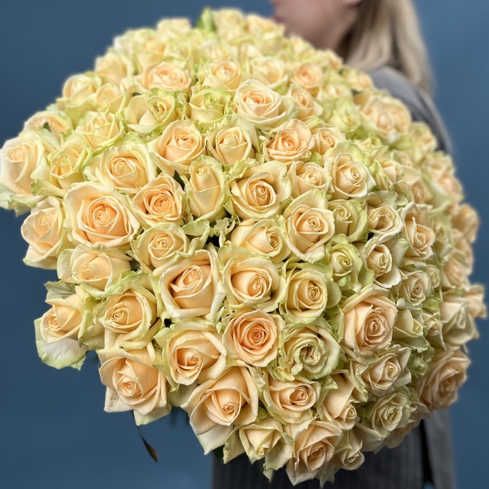 101 Роза пич Аваланш 60 см