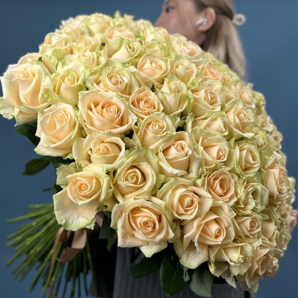 101 Роза пич Аваланш 70 см