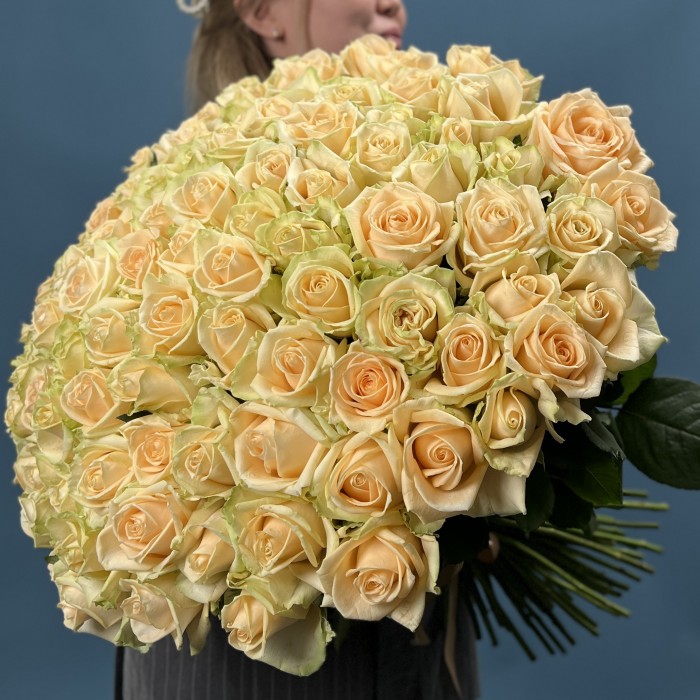 101 Роза пич Аваланш 60 см