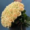 101 Роза пич Аваланш 60 см