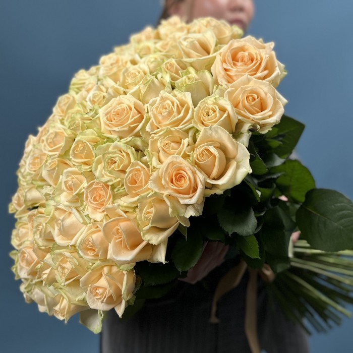 101 Роза пич Аваланш 60 см