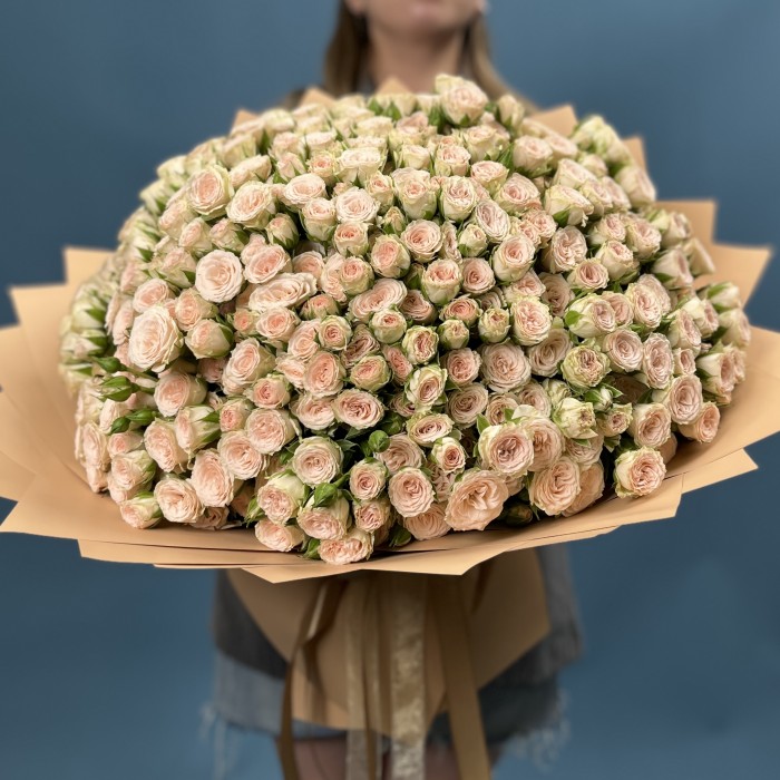 101 кустовая кремовая роза Рослин 50 см