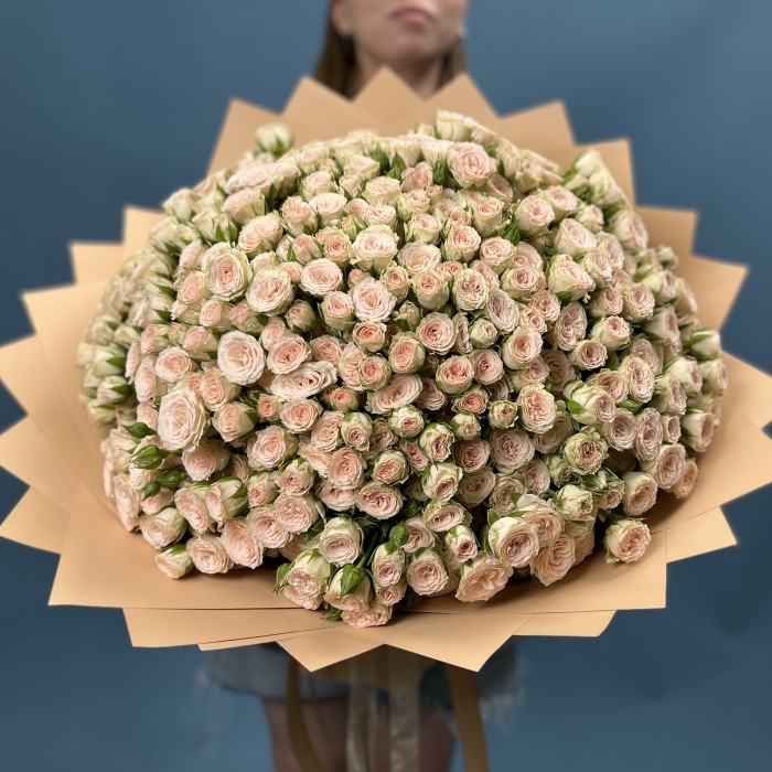 101 кустовая кремовая роза Рослин 50 см