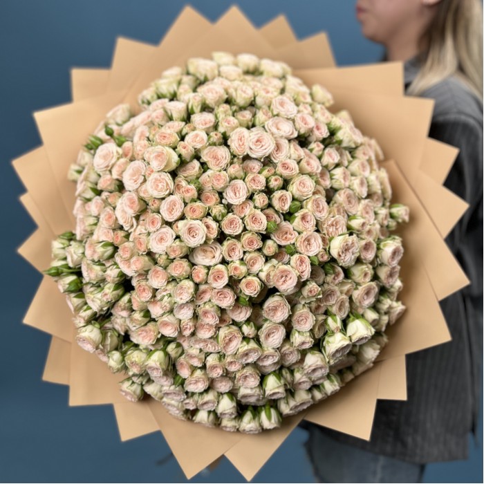 101 кустовая кремовая роза Рослин 50 см