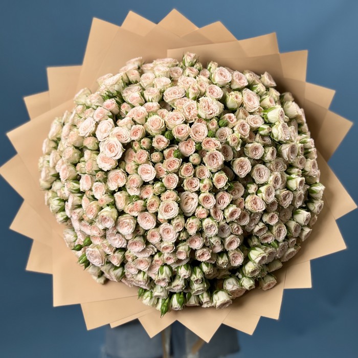 101 кустовая кремовая роза Рослин 50 см